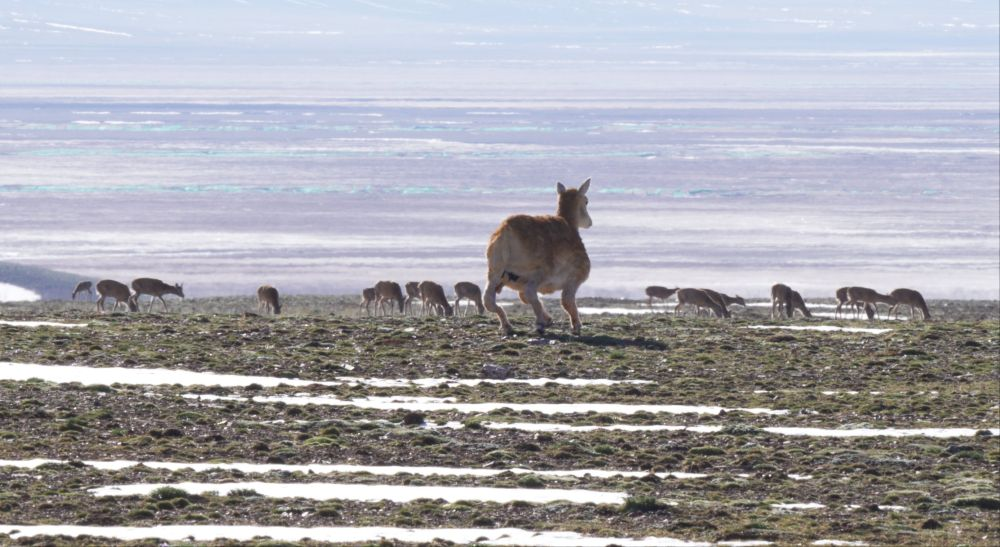 1757404782789295.png 图片1.png